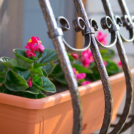Forras Apartman Eger Zewnętrze zdjęcie